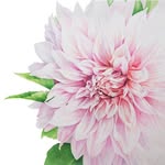 Kimberly Mathews - @kimberlymathewsart - Instagram
