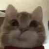 Kimberly - @kimberlymaucapcut - TikTok