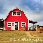Kimberly Mears Crews - @k.c._photographyal - Instagram