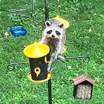 Kimberly Millsaps - @millsaps2023 - Instagram