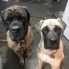 Kim Moriarty - @kim.moriarty - TikTok