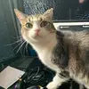kimberlymoriarty04 - @kimberlymoriarty04 - TikTok