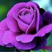 Kimberly Mosby - Facebook