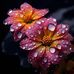 Mishy Kim - Facebook