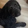 Kmberlyy - @kimberly.mudd - TikTok