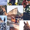 Kimberly Mullis - @kimberlymullis920 - TikTok