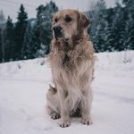 Kimberly Muthoni Njeri - @njerikimberlymuthoni - Instagram