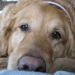 Kimberly Berkey Mutters - Facebook