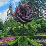 Kimberly Nagy - @curiouser.in.wonderland - Instagram