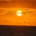 Kimberly Neace - Facebook