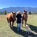 Kim Needham - Facebook