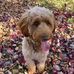 Kimberly Routh Needham - Facebook