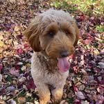 Kimberly Routh Needham - @kimneedham819 - Instagram