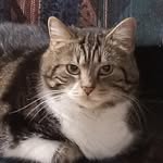 Kimberly French Nipper - @kimberlynipper - Instagram