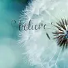 Kimberly Knipper - @kimberlyknipper - TikTok