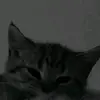 Kimberly Ojeda - @kimberly.ojeda95 - TikTok