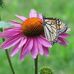 Kim Blasko Ormsby - Facebook