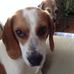 Kim Ormsby - Facebook