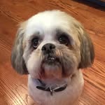 Kimberly Ormsby Nagy - @kimberlyknagy - Instagram