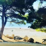 Kimberly Ousley - @leadrolonfo - Instagram