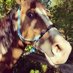 Kimberly Ousley - @donvaljaasma1 - Instagram