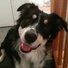 kimberlypackard75 - @kimberlypackard75 - TikTok
