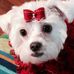 Kimberly C. Pendley - Facebook