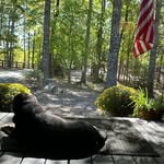 Kimberly Pendley-Martin - @kaparnp - Instagram