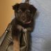 Kim Pettyjohn Rodriguez - Facebook