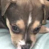 Kimberly Post - @kimberly.post4 - TikTok