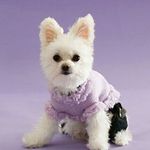 kimberly post - @kimmiepuppy123 - Instagram