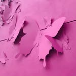 Kimberly Palmer Ray - @kimberlypray1 - Instagram