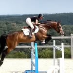 Kimberly Prevost - @kp_sport_horses_94 - Instagram