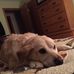 Kim Propst - Facebook
