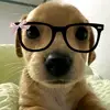 Kimberly Quezada - @kimberly.quezada1 - TikTok