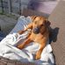 Kim Ratcliffe - Facebook