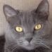 Kim Renick - Facebook