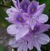 Robert Richard Kim - Facebook