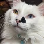 Kimberly Ridgeway - @kridge14960 - Instagram