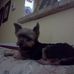 Kimberly Rigdon - Facebook