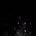 Kimberly Rivera - Facebook