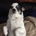 Kim Robichaud - Facebook