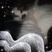 Kimberly Rockey - Facebook