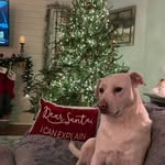 Kimberly Roloff - @redmiller2 - Instagram