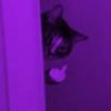 kim <3 - @kimberly.ryerson - TikTok