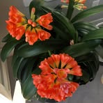 Kimberly Sager - Facebook
