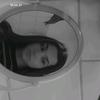 Kimberly Scheffler - @kimberlyscheffler0 - TikTok