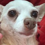 Kimberly Schipper - @schipplap15 - Instagram