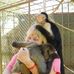 Kimberly Seiber - Facebook