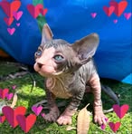 Kimberly Sharp - Facebook